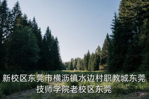 新校區(qū)東莞市橫瀝鎮(zhèn)水邊村職教城東莞技師學院老校區(qū)東莞