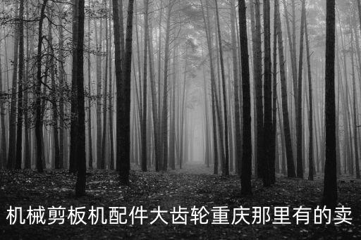 機械剪板機配件大齒輪重慶那里有的賣