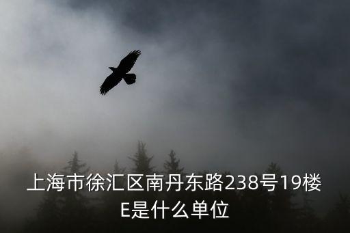 上海市徐匯區(qū)南丹東路238號19樓E是什么單位