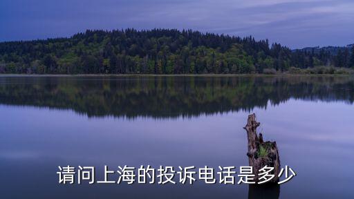上海市投訴噪擾民，鄰居養(yǎng)信鴿擾民怎么辦在上海怎么投訴