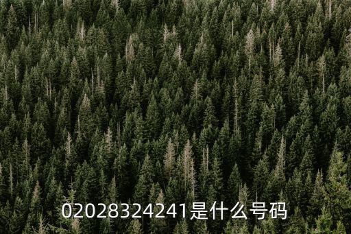 02028324241是什么號(hào)碼