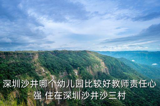 深圳沙井哪個幼兒園比較好教師責任心強 住在深圳沙井沙三村