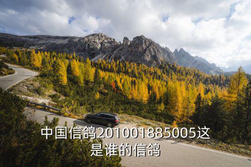 中國信鴿201001885005這是誰的信鴿