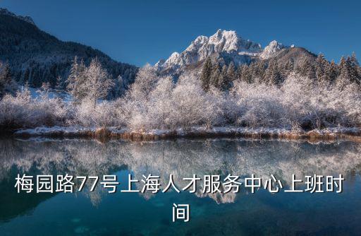 梅園路77號上海人才服務中心上班時間