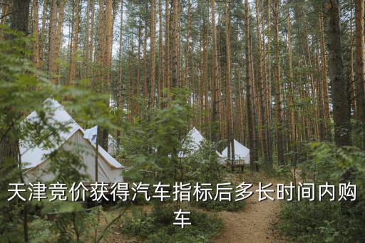 天津競(jìng)價(jià)獲得汽車指標(biāo)后多長(zhǎng)時(shí)間內(nèi)購(gòu)車