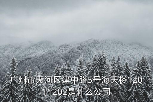 廣州市天河區建中路5號海天樓12011202是什么公司