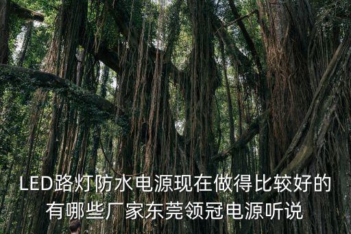 LED路燈防水電源現在做得比較好的有哪些廠家東莞領冠電源聽說