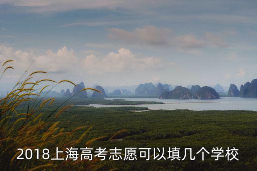 2018上海高考志愿可以填幾個學校