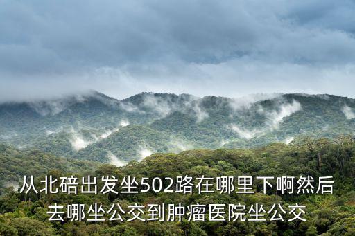 從北碚出發坐502路在哪里下啊然后去哪坐公交到腫瘤醫院坐公交