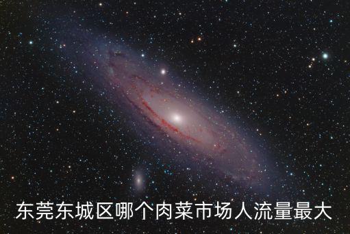 東莞東城區(qū)哪個(gè)肉菜市場人流量最大