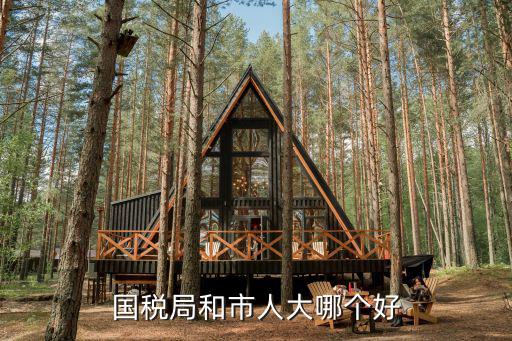 國稅局和市人大哪個好
