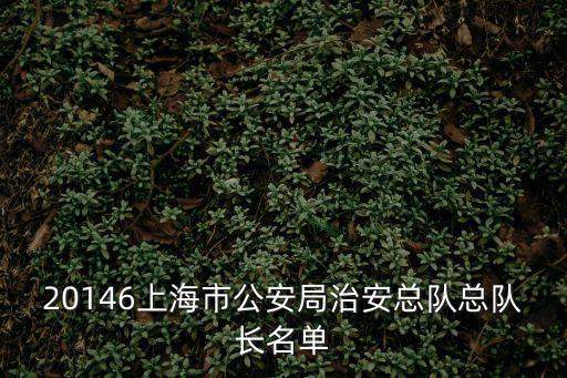 20146上海市公安局治安總隊總隊長名單