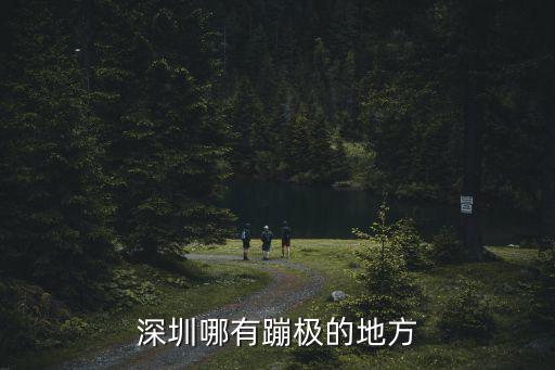 深圳哪有蹦極的地方