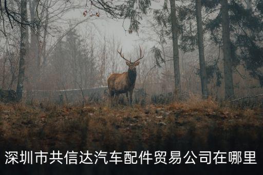 深圳市共信達汽車配件貿(mào)易公司在哪里