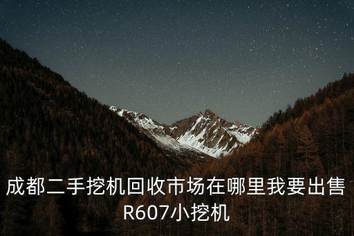 成都二手挖機回收市場在哪里我要出售R607小挖機