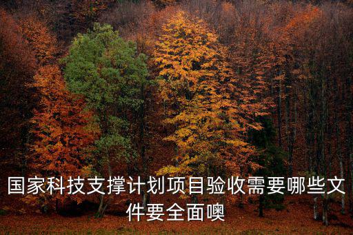 國家科技支撐計劃項目驗收需要哪些文件要全面噢