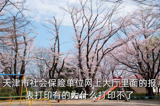 天津市社會保險單位網上大廳里面的報表打印有的為什么打印不了