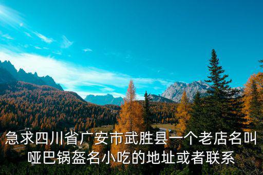 急求四川省廣安市武勝縣一個老店名叫啞巴鍋盔名小吃的地址或者聯系
