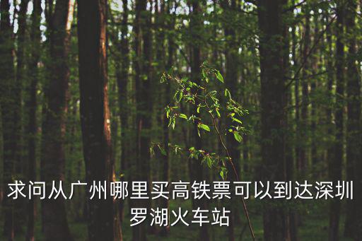 廣州東站去深圳羅湖如何買動車票，廣州火車東站到深圳羅湖站怎么買票坐什么車 急急急