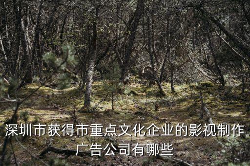 深圳市道弘文化，說真的我是今年的畢業(yè)生深圳道弘教育就是一家騙子公