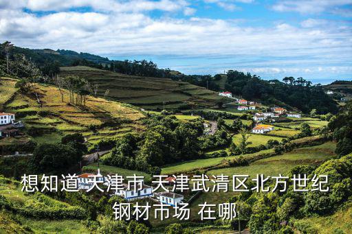 想知道 天津市 天津武清區(qū)北方世紀(jì)鋼材市場(chǎng) 在哪