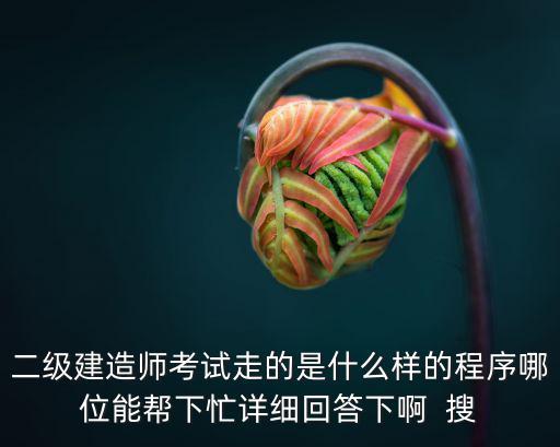 二級建造師考試走的是什么樣的程序哪位能幫下忙詳細回答下啊  搜