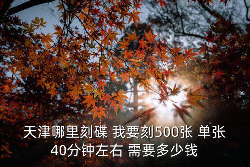 天津市哪里翻刻光盤，天津那里光盤制作質量最好又便宜 天津