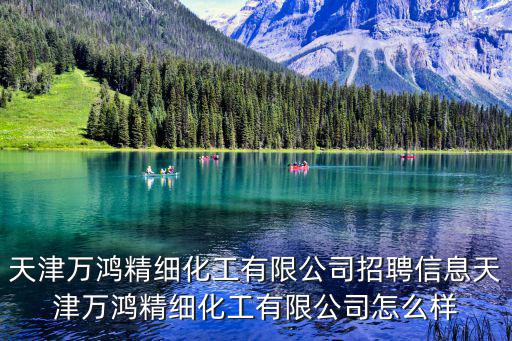 天津萬鴻精細化工有限公司招聘信息天津萬鴻精細化工有限公司怎么樣
