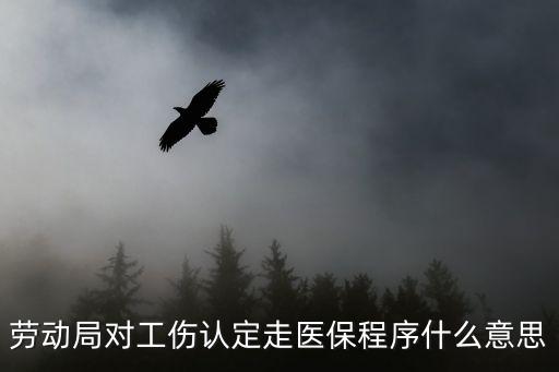 勞動局對工傷認定走醫保程序什么意思