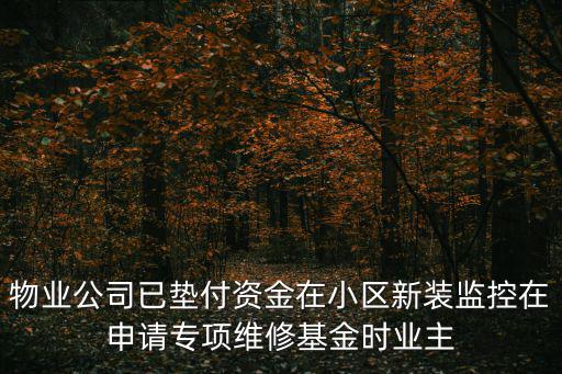 成都市社區(qū)公服資金管理辦法，社區(qū)資產(chǎn)管理辦法