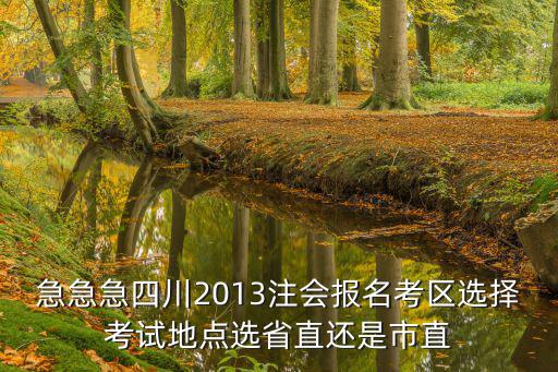 急急急四川2013注會報名考區選擇考試地點選省直還是市直
