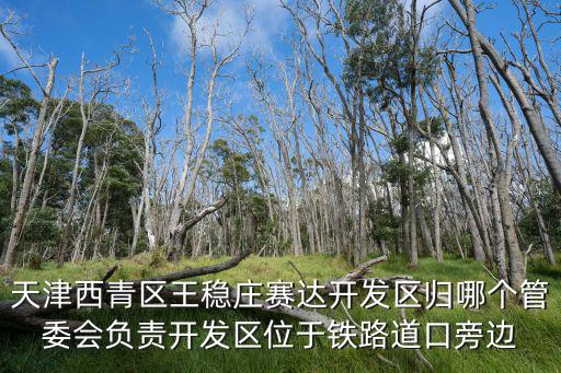 天津西青區(qū)王穩(wěn)莊賽達開發(fā)區(qū)歸哪個管委會負責開發(fā)區(qū)位于鐵路道口旁邊