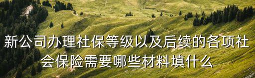 新公司辦理社保等級以及后續的各項社會保險需要哪些材料填什么