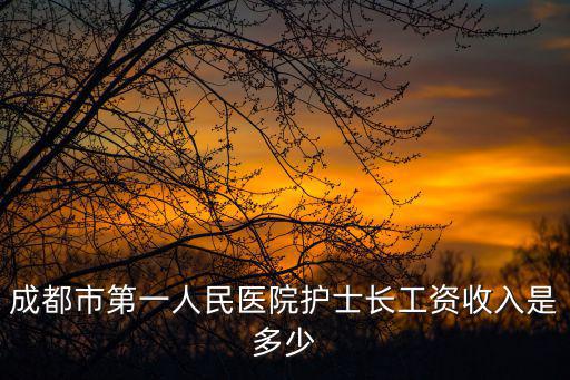 成都市第一人民醫院護士長工資收入是多少