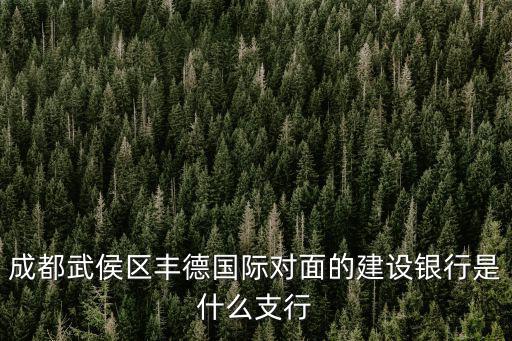 成都市武侯區建設銀行支行，成都市武侯祠錦里對面建設銀行是什么支行