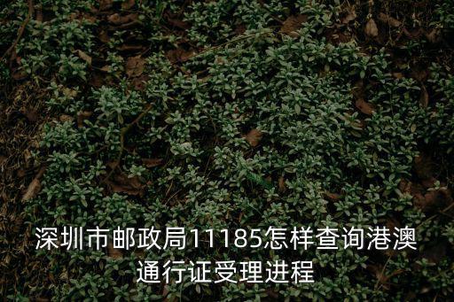 深圳市郵政局11185怎樣查詢港澳通行證受理進程