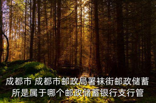 成都市暑襪北街郵政，我想查詢郵政的包裹到哪里了這是單號EI1951101285CS