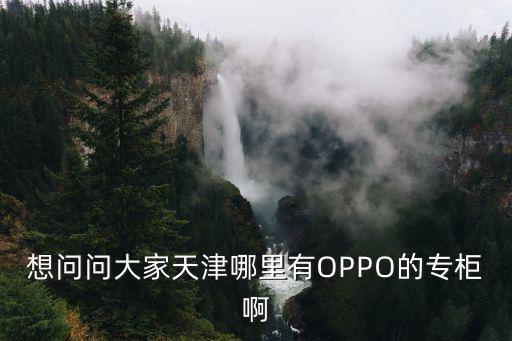 想問問大家天津哪里有OPPO的專柜啊