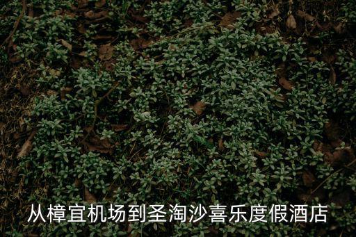 從樟宜機場到圣淘沙喜樂度假酒店