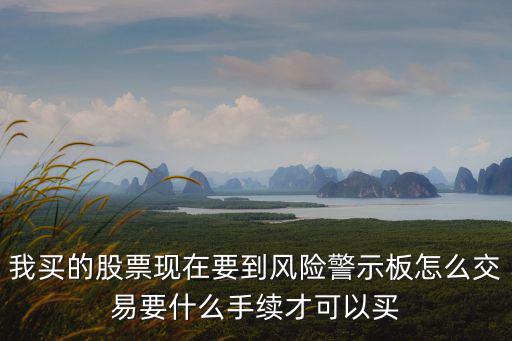 深圳風(fēng)險(xiǎn)警示板股票交易辦法，我買(mǎi)的股票現(xiàn)在要到風(fēng)險(xiǎn)警示板怎么交易要什么手續(xù)才可以買(mǎi)