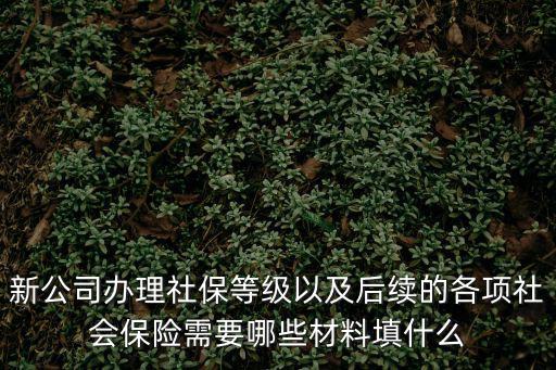 天津市社會保險登記表，新公司辦理社保等級以及后續的各項社會保險需要哪些材料填什么