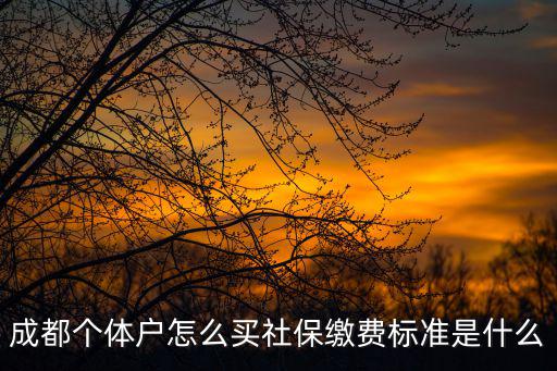 成都個體戶怎么買社保繳費標準是什么