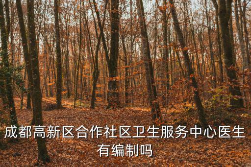 成都高新區(qū)合作社區(qū)衛(wèi)生服務(wù)中心醫(yī)生有編制嗎