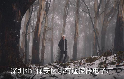 深圳shi 保安區哪有遙控器電子廠