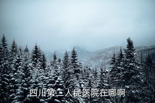 四川第二人民醫(yī)院在哪啊