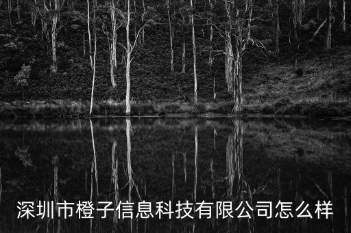 深圳市橙子信息科技有限公司怎么樣