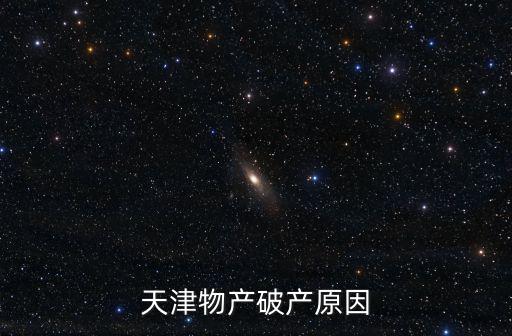 天津物產破產原因