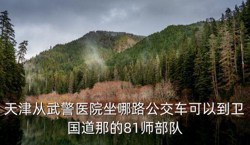 天津市武警81，天津從武警醫(yī)院坐哪路公交車可以到衛(wèi)國道那的81師部隊