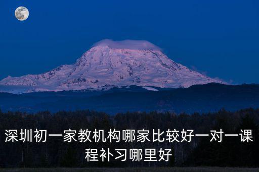 深圳初一家教機構(gòu)哪家比較好一對一課程補習(xí)哪里好
