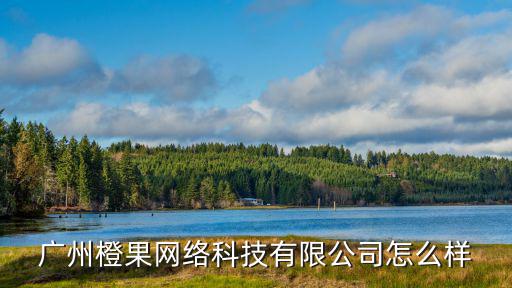 廣州橙果網絡科技有限公司怎么樣